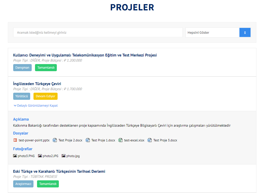 proje detay